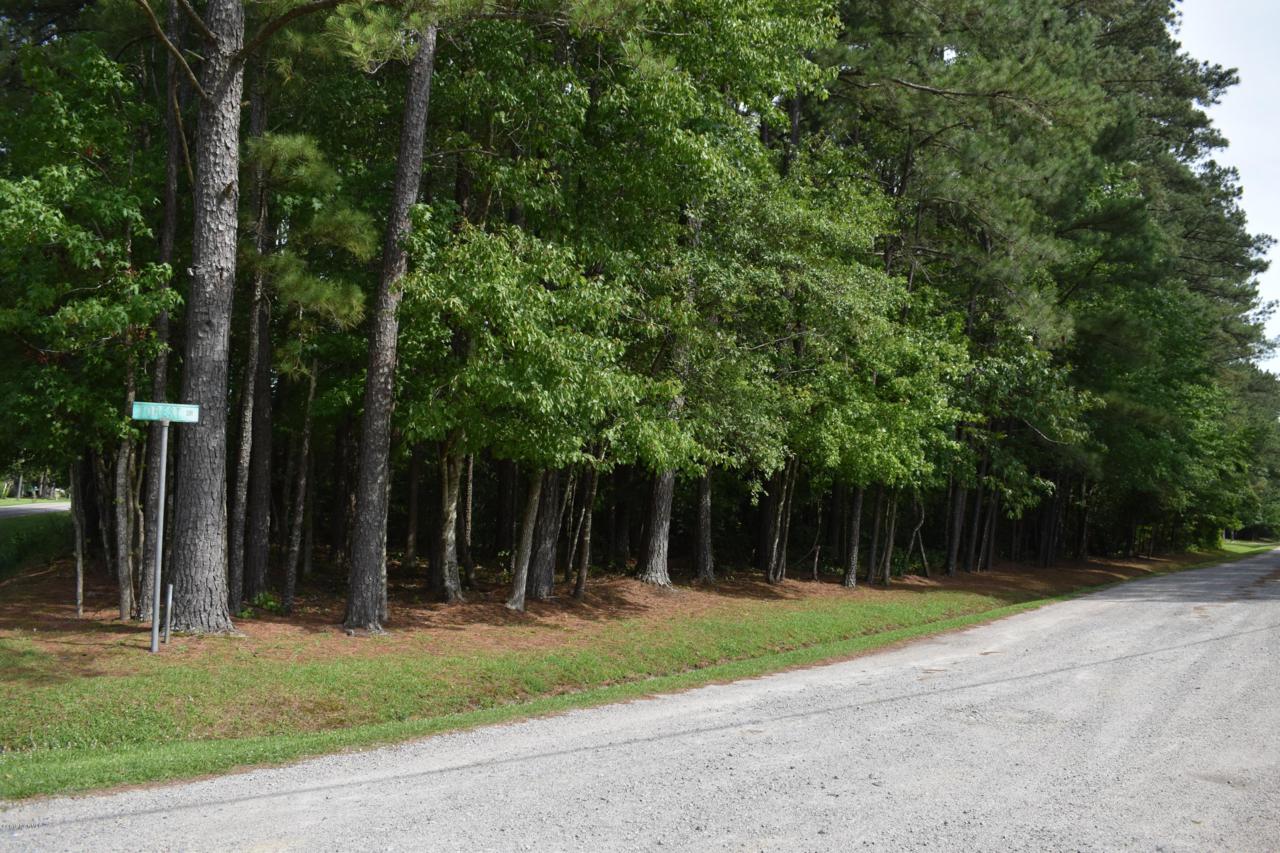 1045 Forest Drive - Photo 1