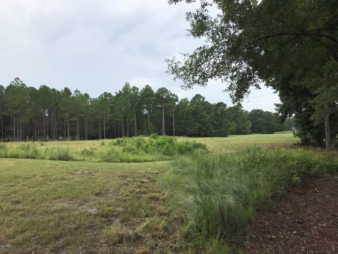 384 Cypress Ridge Drive - Photo 1