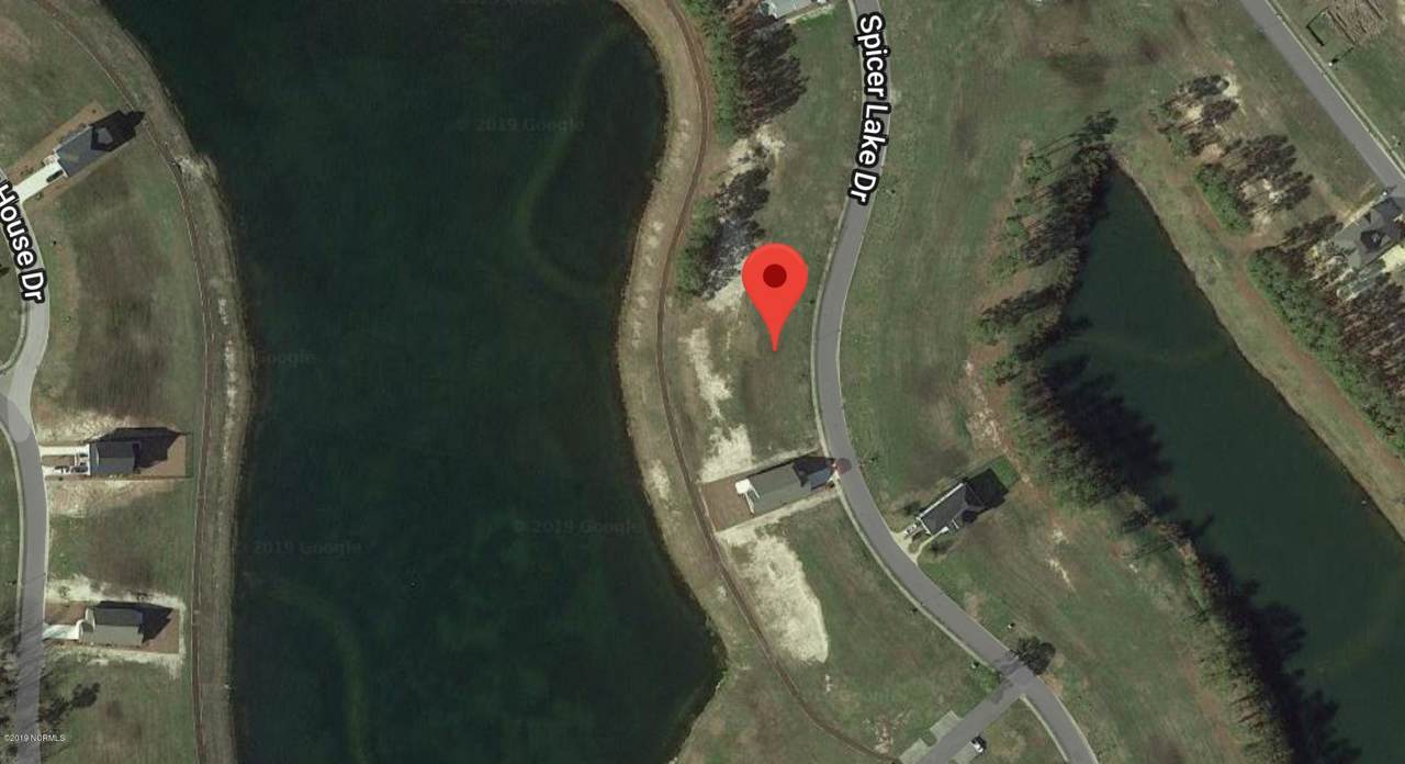 196 Spicer Lake Drive - Photo 1