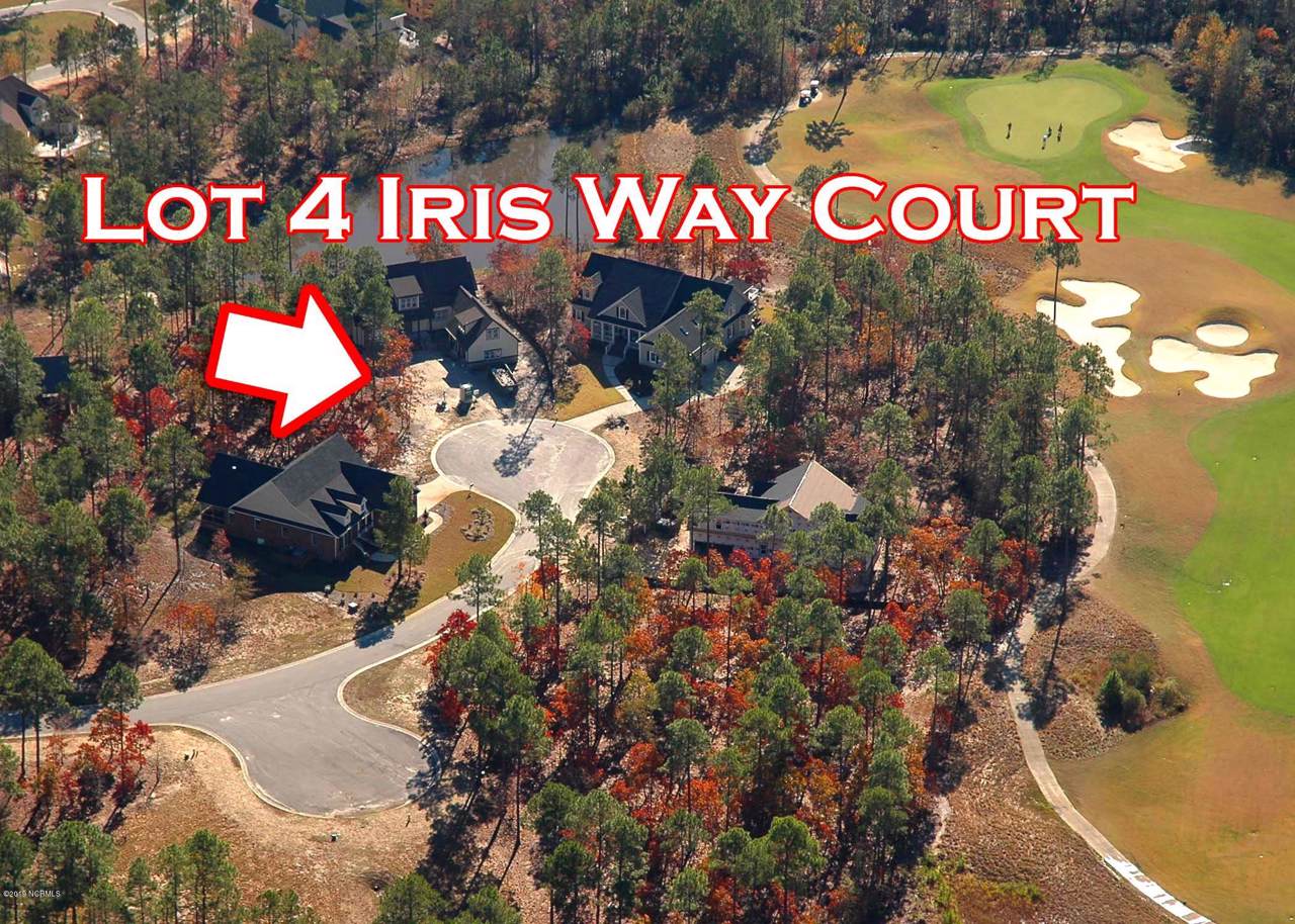 463 Iris Way Court - Photo 1