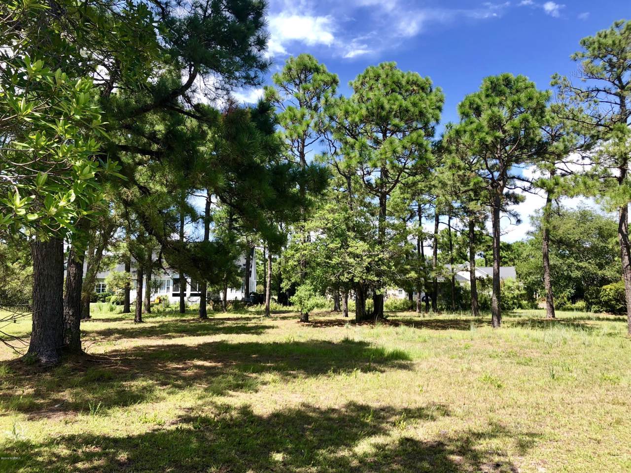 2934 Trailwood Drive - Photo 1