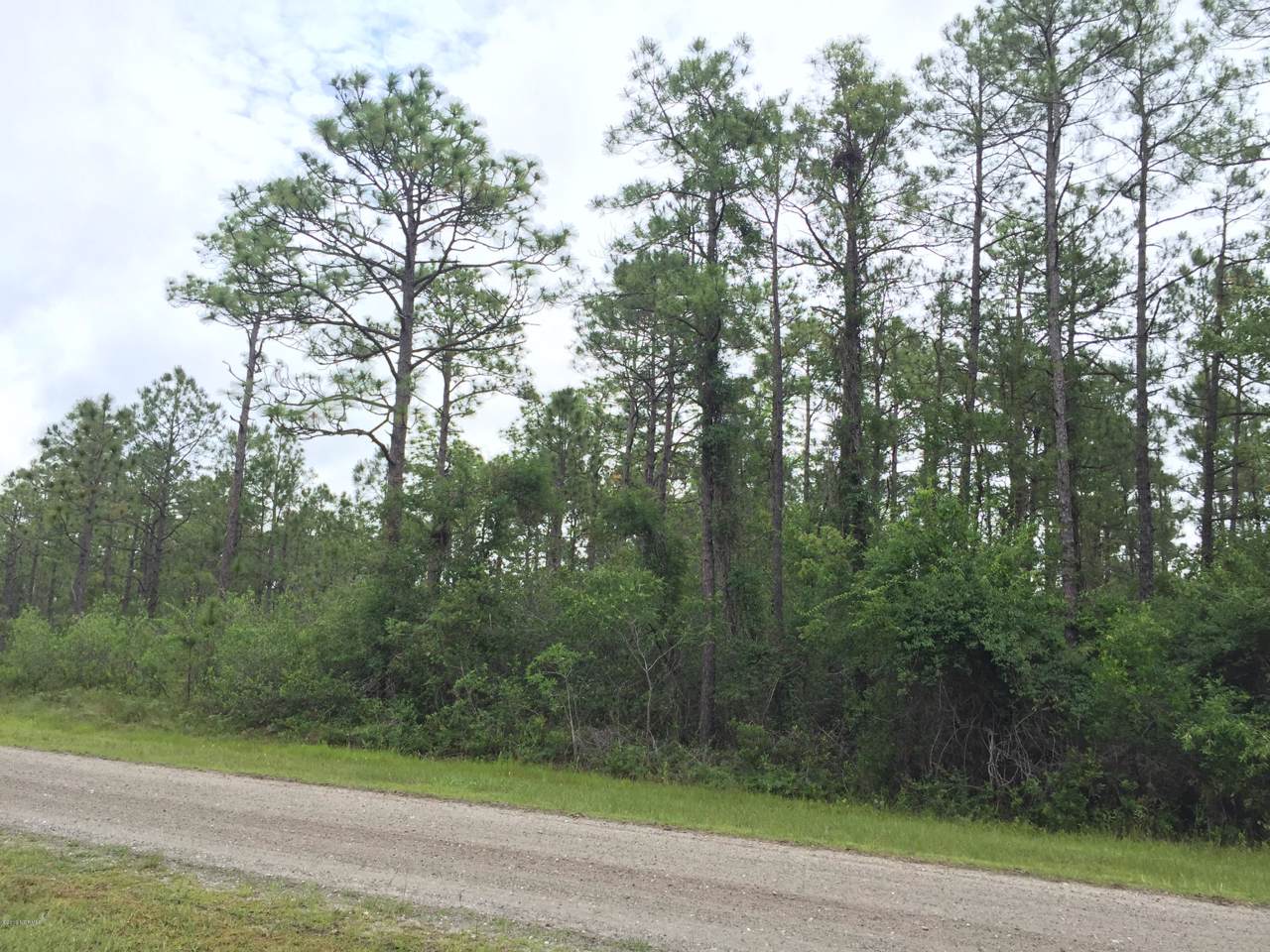 L202 & 203 Darnell Road - Photo 1