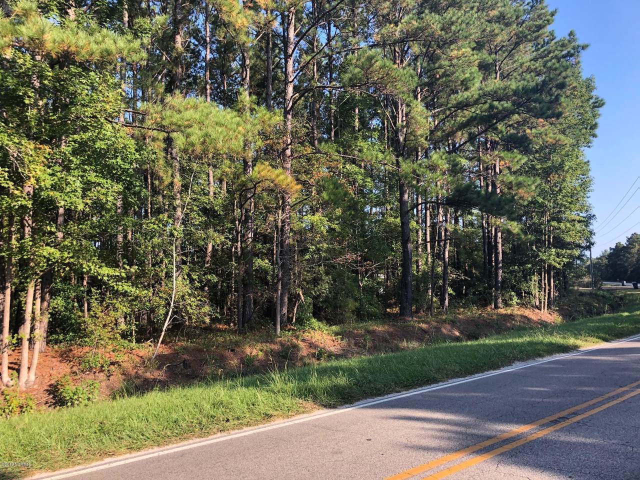 Tract A Ash Little River Road - Photo 1