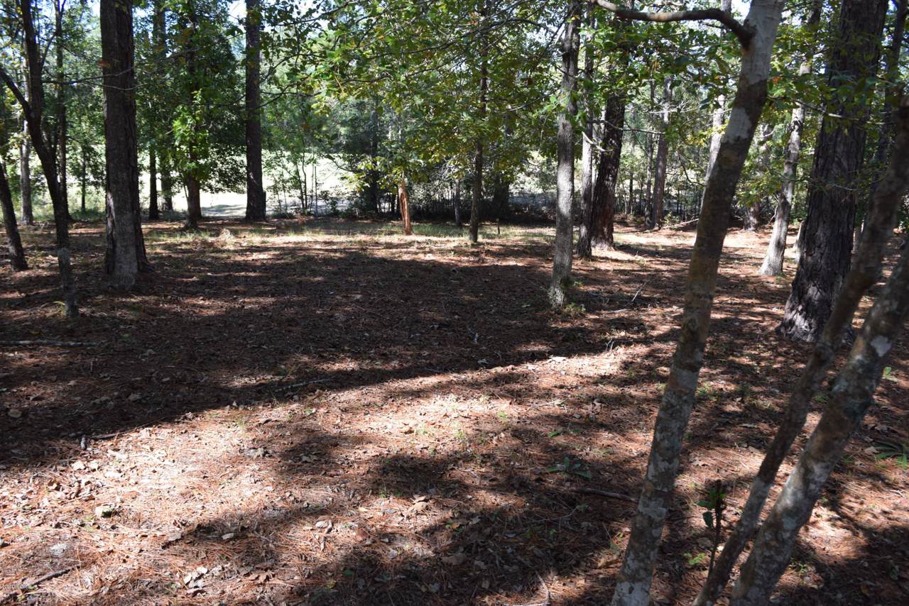 1617 Golfers Ridge Drive - Photo 1