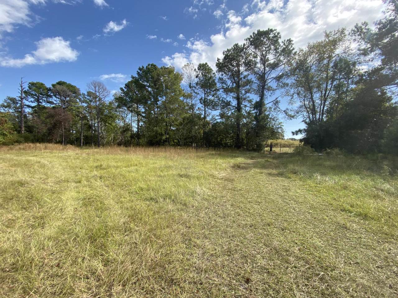 2981 Robin Drive - Photo 1