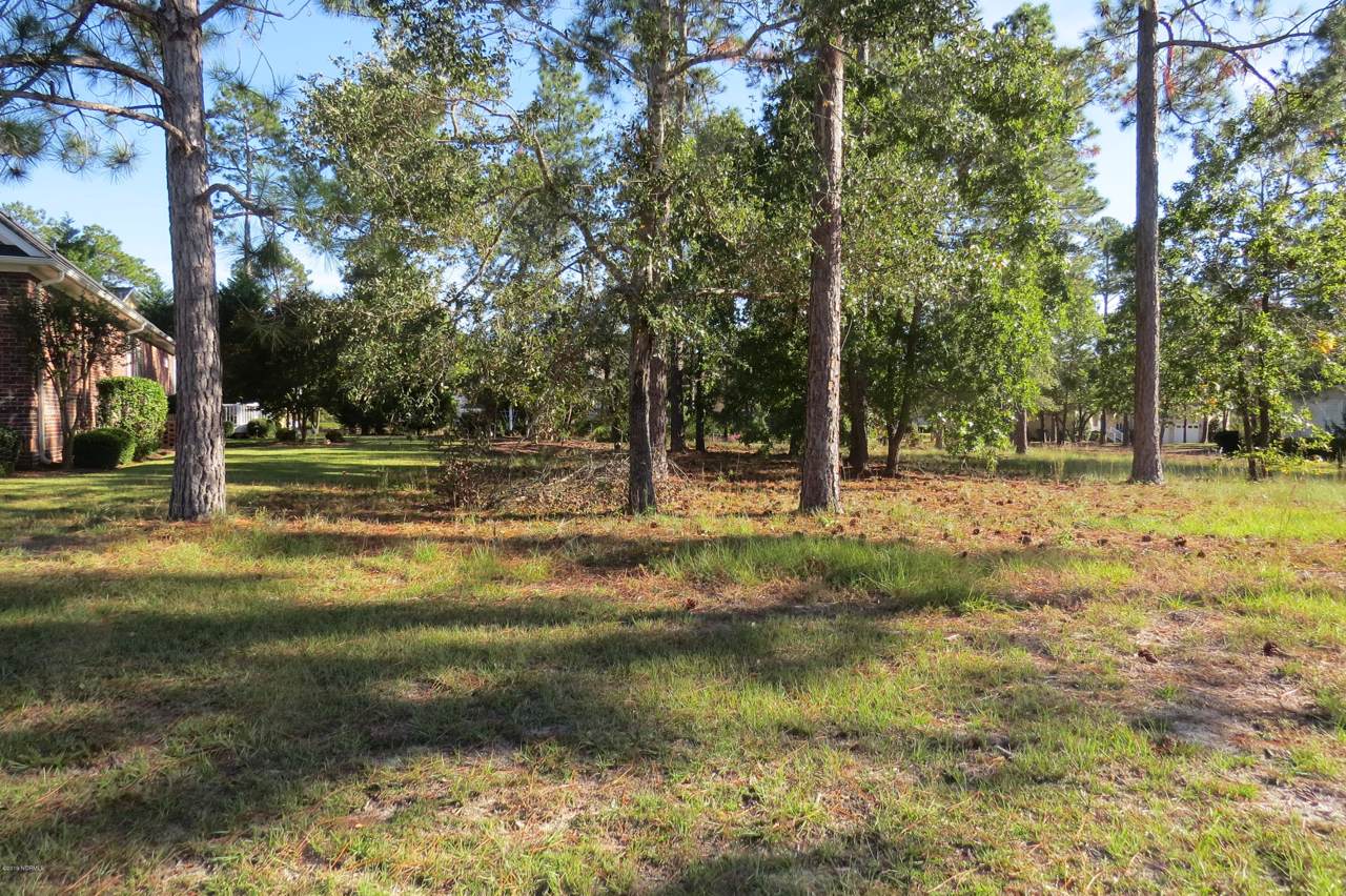 371 Broad Leaf Lane - Photo 1