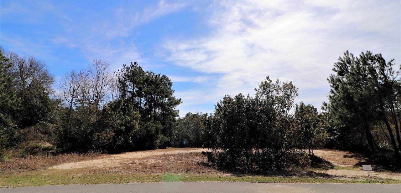 9903 Thistelroy Lane - Photo 1