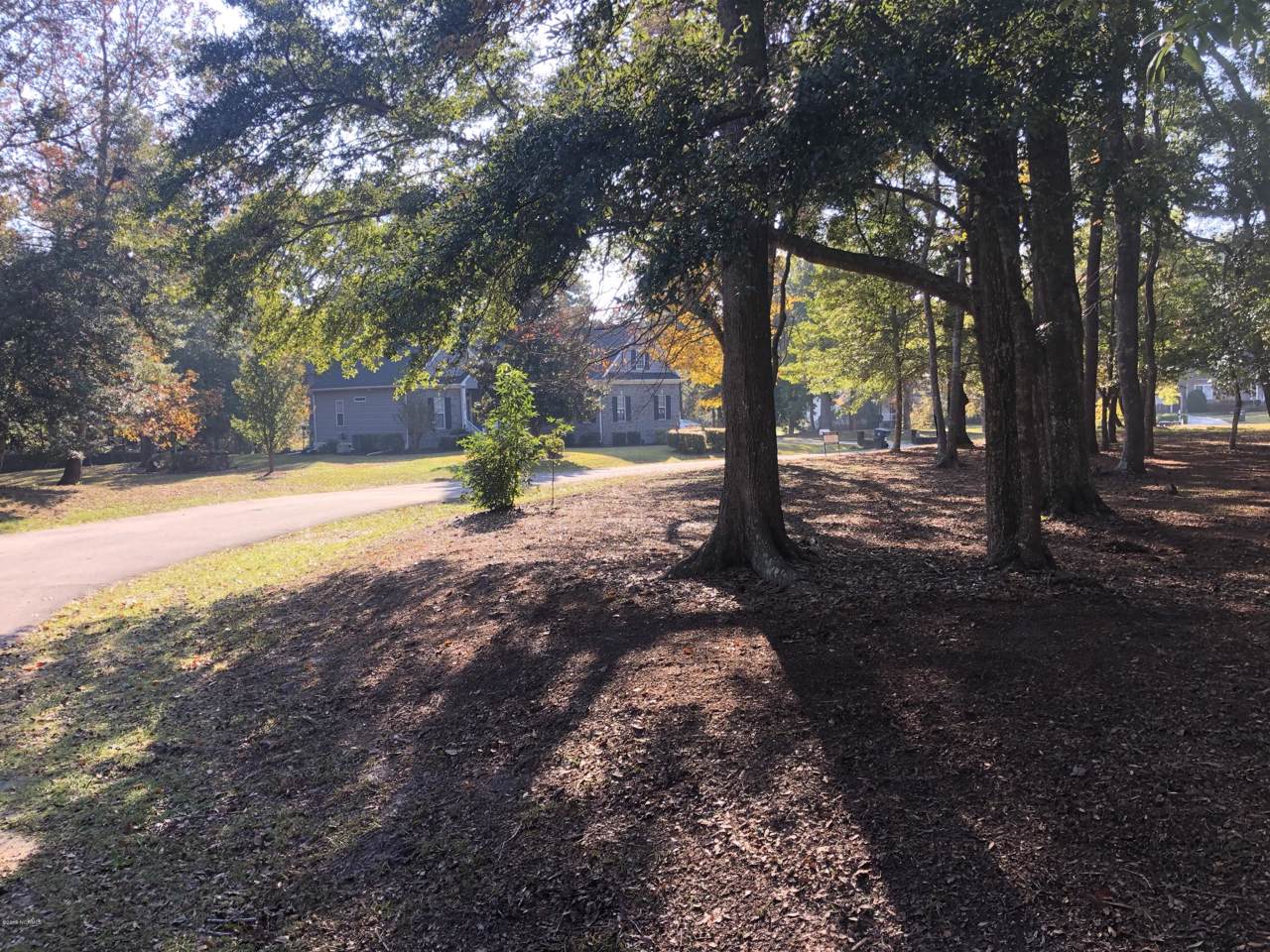 1831 Tree Shore Circle Circle - Photo 1