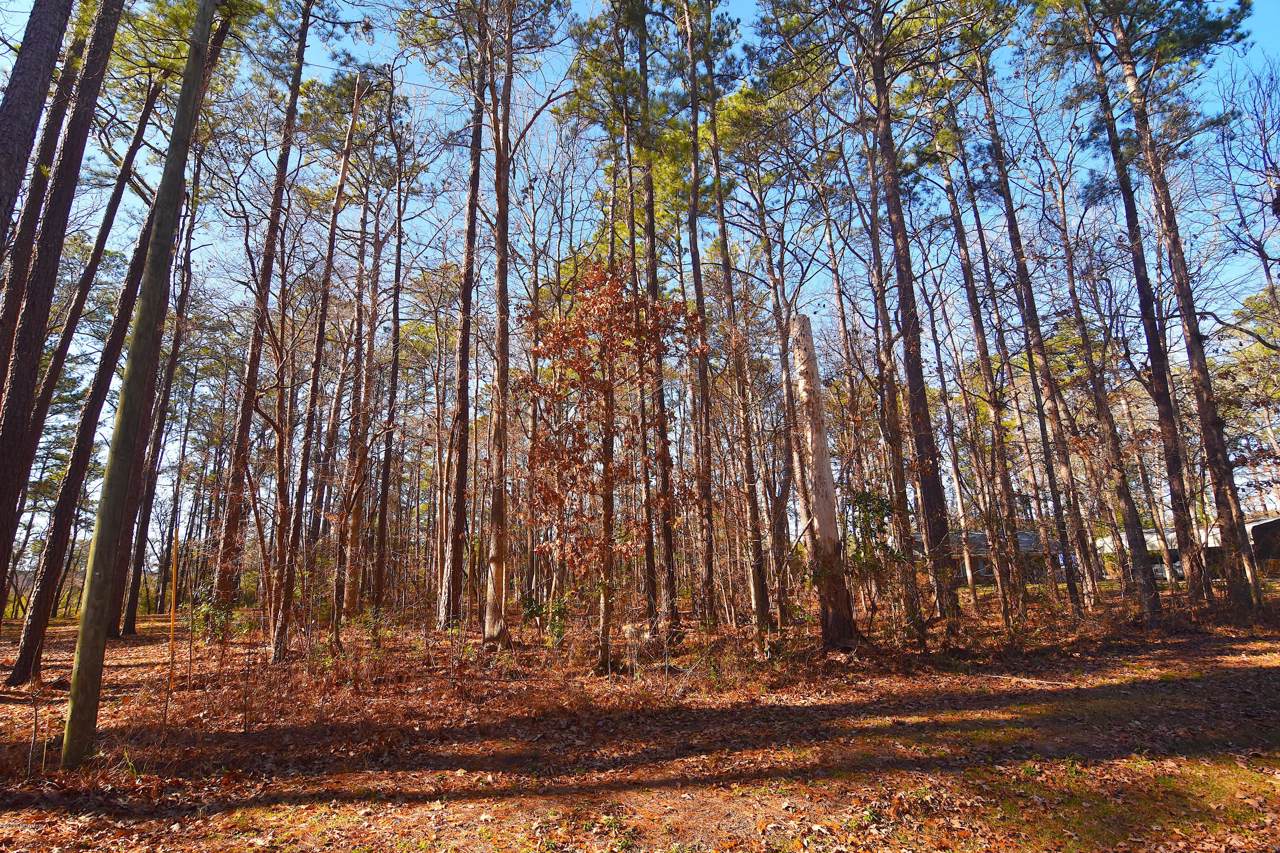 85 Whitehall Road - Photo 1