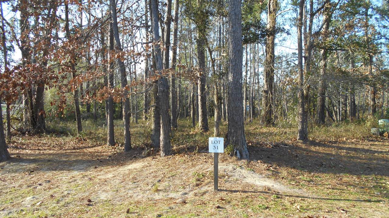 1203 Hellene Drive - Photo 1