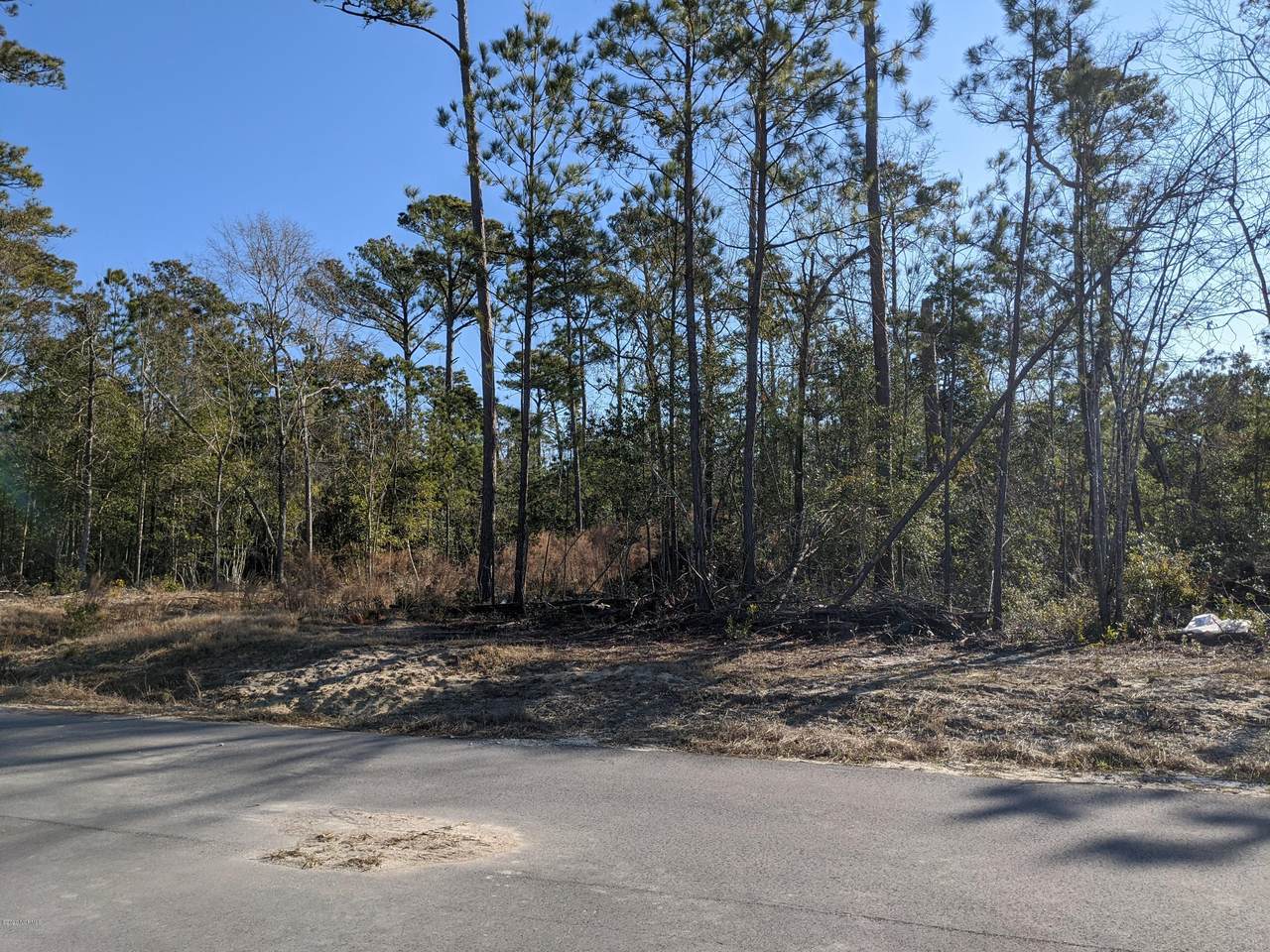 313 Landon Lane - Photo 1