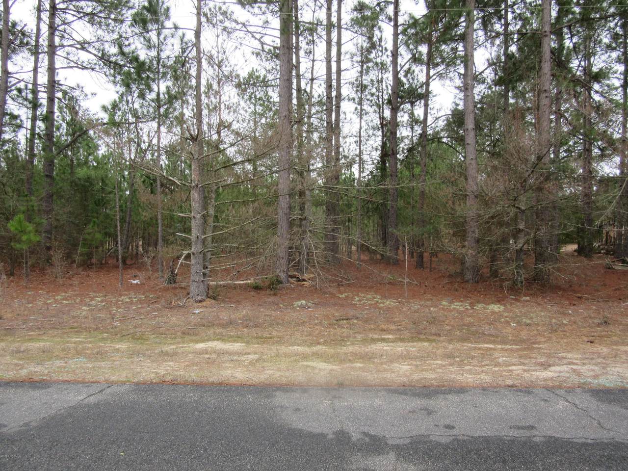 Lot # 10 Mcneill Lake - Photo 1