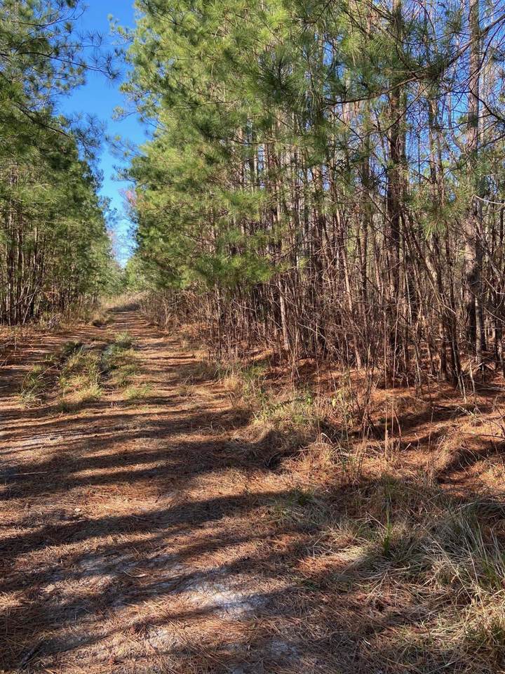Tract 2 North Bend Road - Photo 1