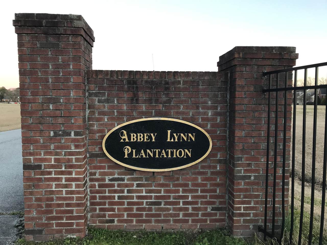 3845 Abby Lynn Drive - Photo 1