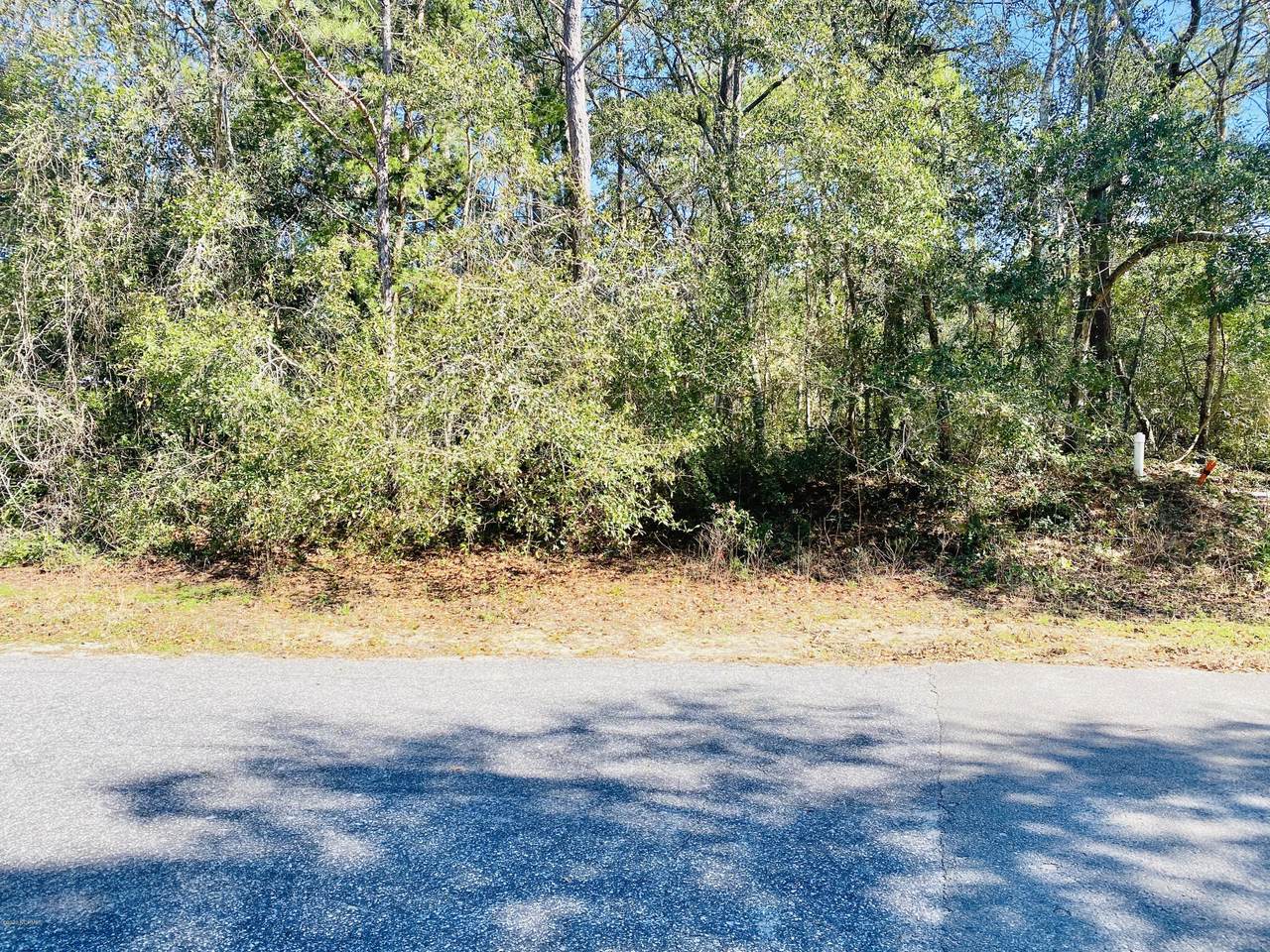 L-15 29th Street - Photo 1