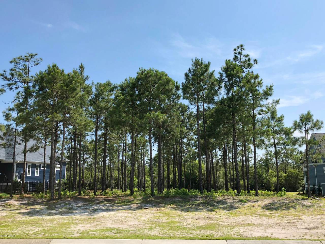 2855 Pine Forest Drive - Photo 1