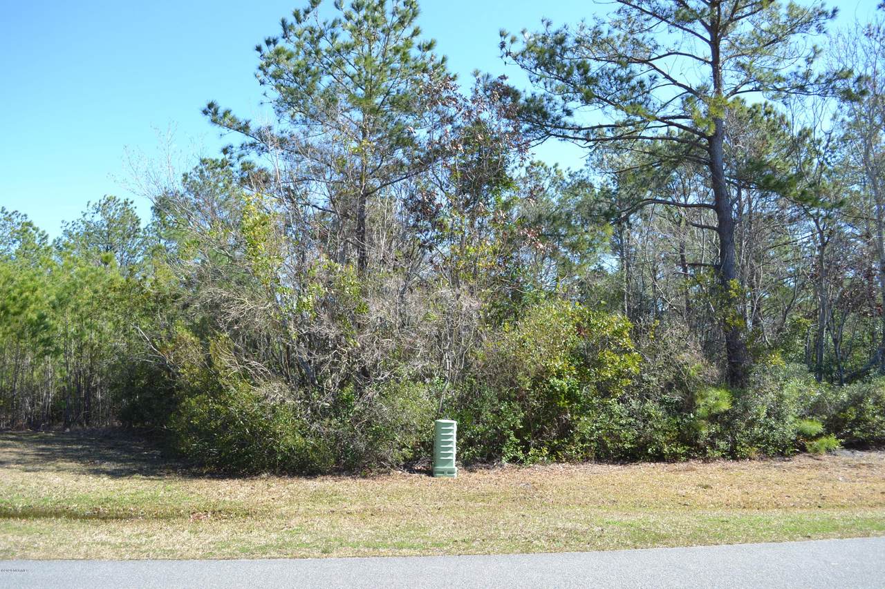 241 Royal Tern Drive - Photo 1