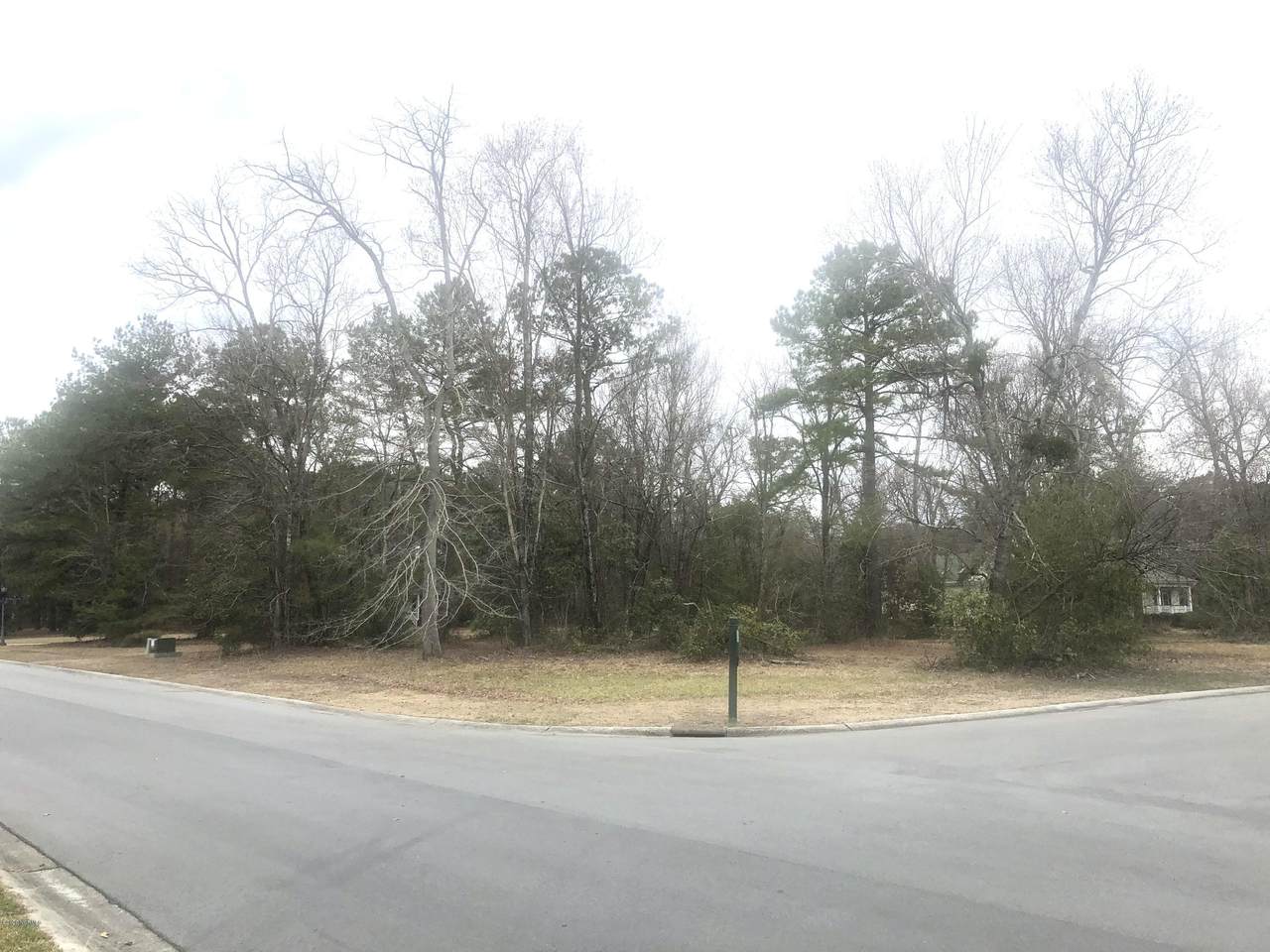 103 Silver Magnolia Court - Photo 1