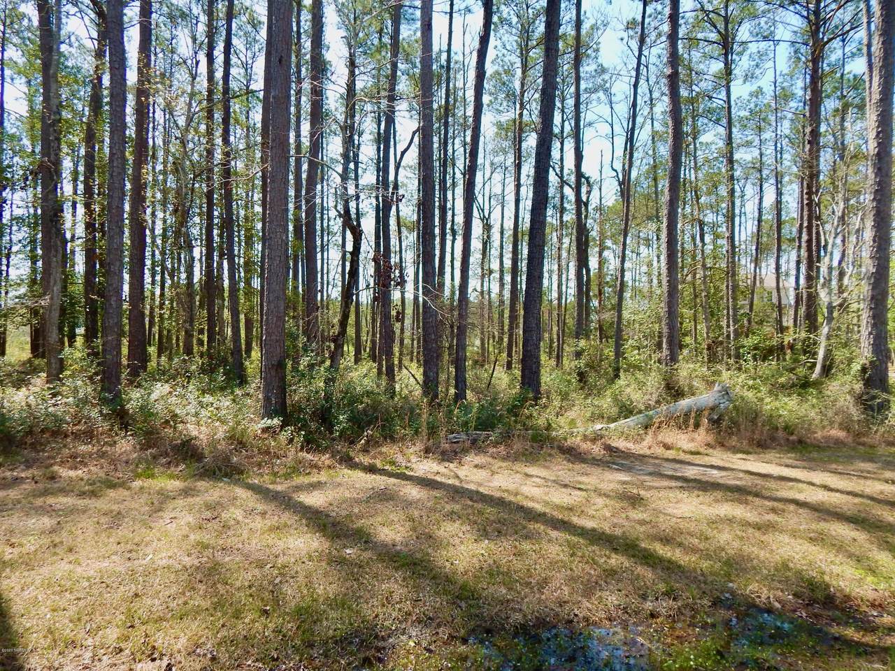 111 Queen Annes Lane - Photo 1 111 Queen Annes Lane - Photo 1