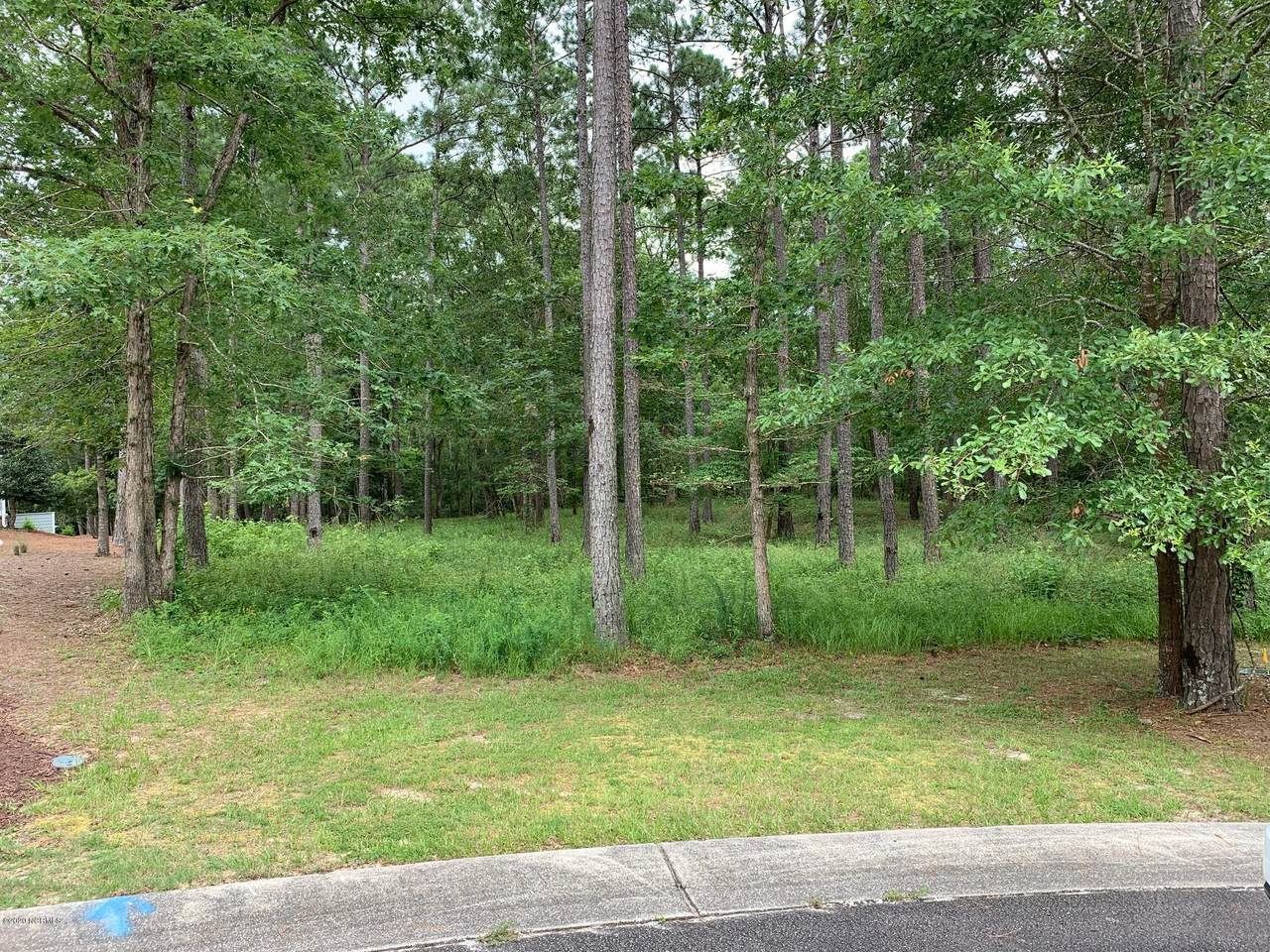 491 Hearthside Drive - Photo 1