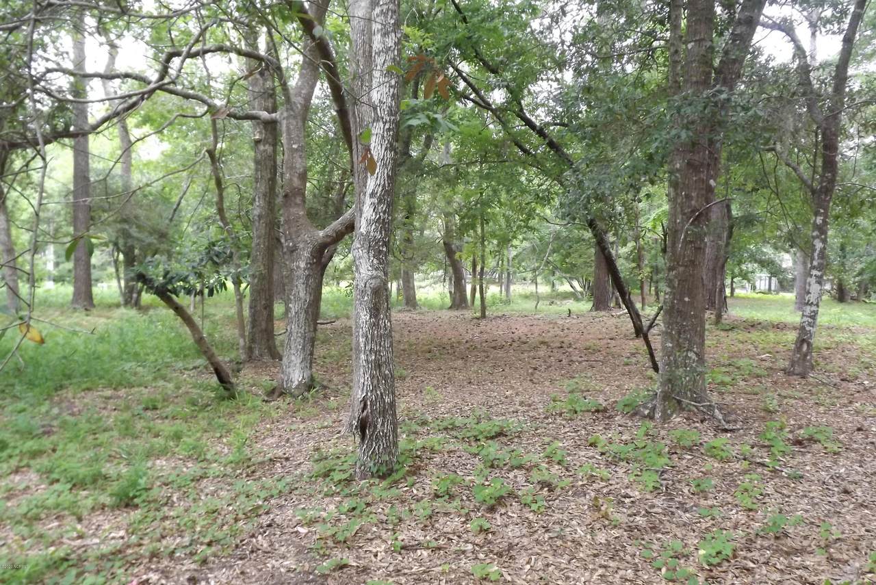 819 Blue Gill Court - Photo 1