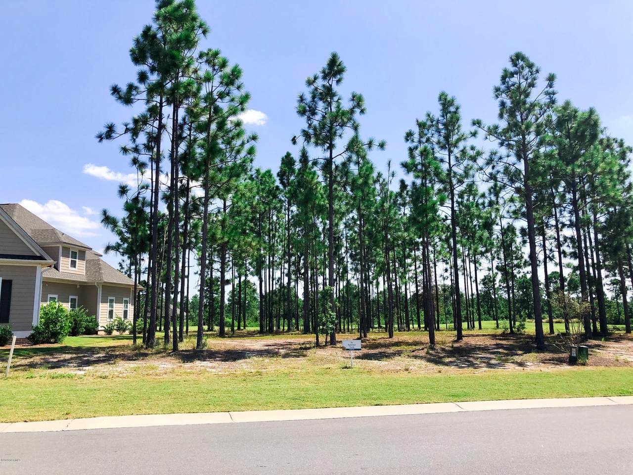 2353 Red Birch Trail - Photo 1