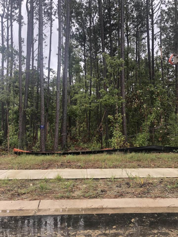 411 Blackbeard Road - Photo 1