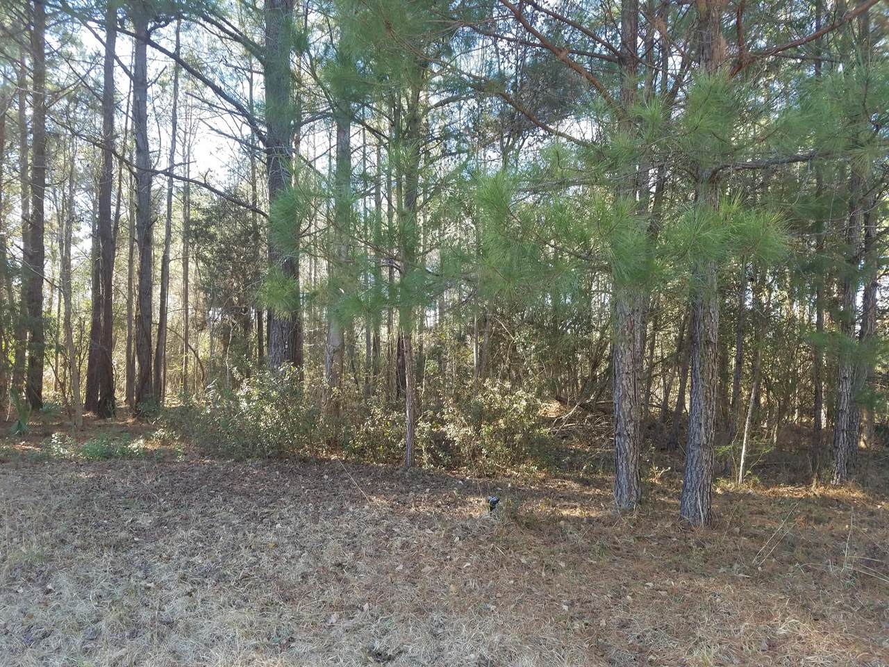 204 Winding Creek Road - Photo 1