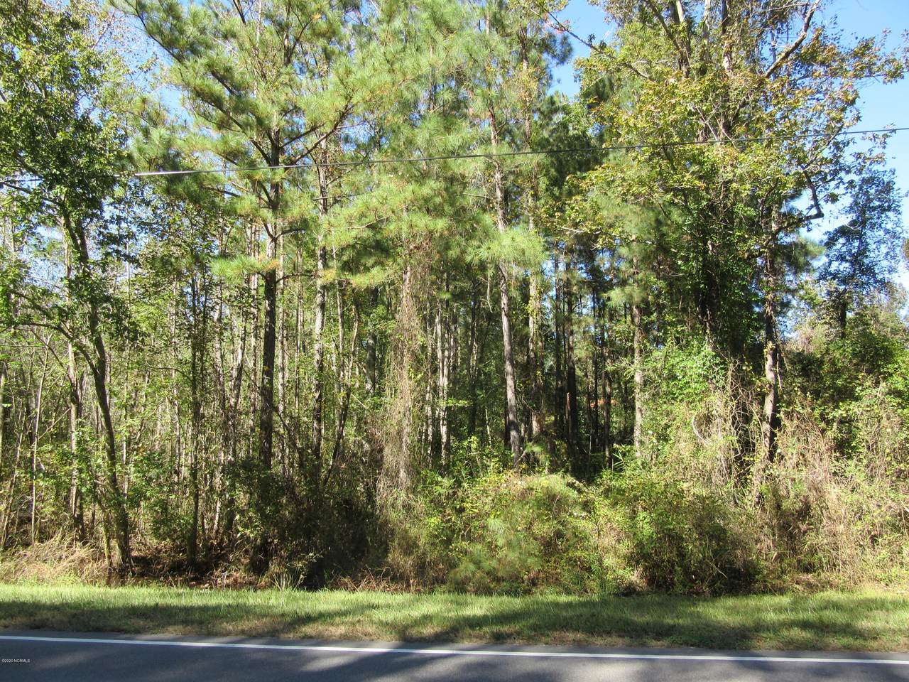 Near 4089 Sam Potts Highway - Photo 1
