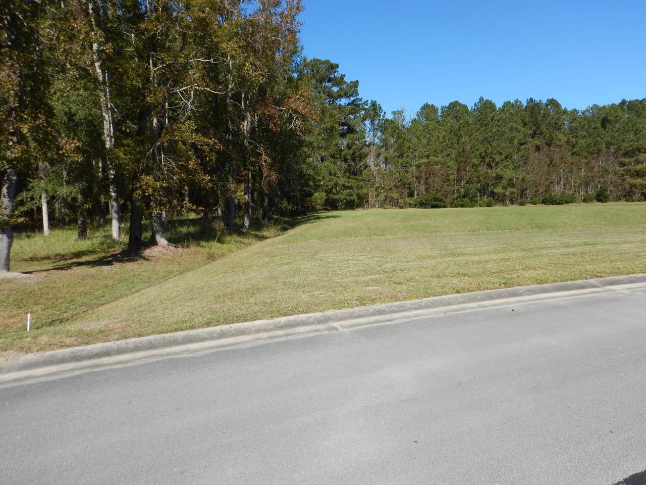 796 Southern Plantation Drive - Photo 1