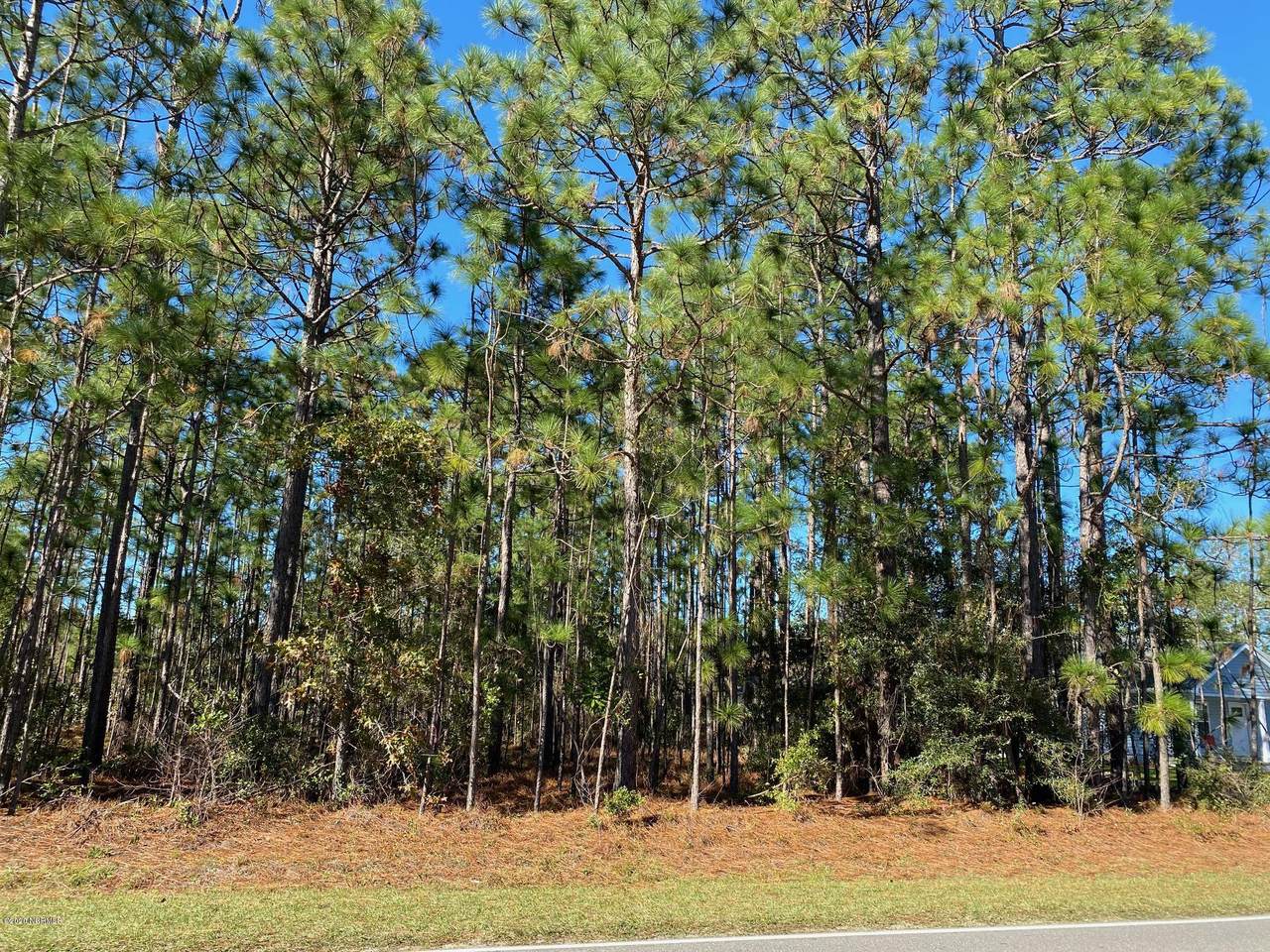 1115 Boiling Spring Road - Photo 1