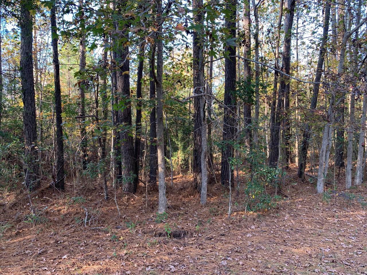 2238 Elkin Street - Photo 1