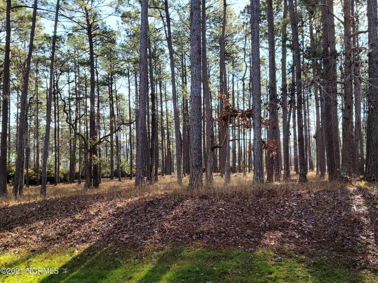450 Ocean Ridge Parkway - Photo 1