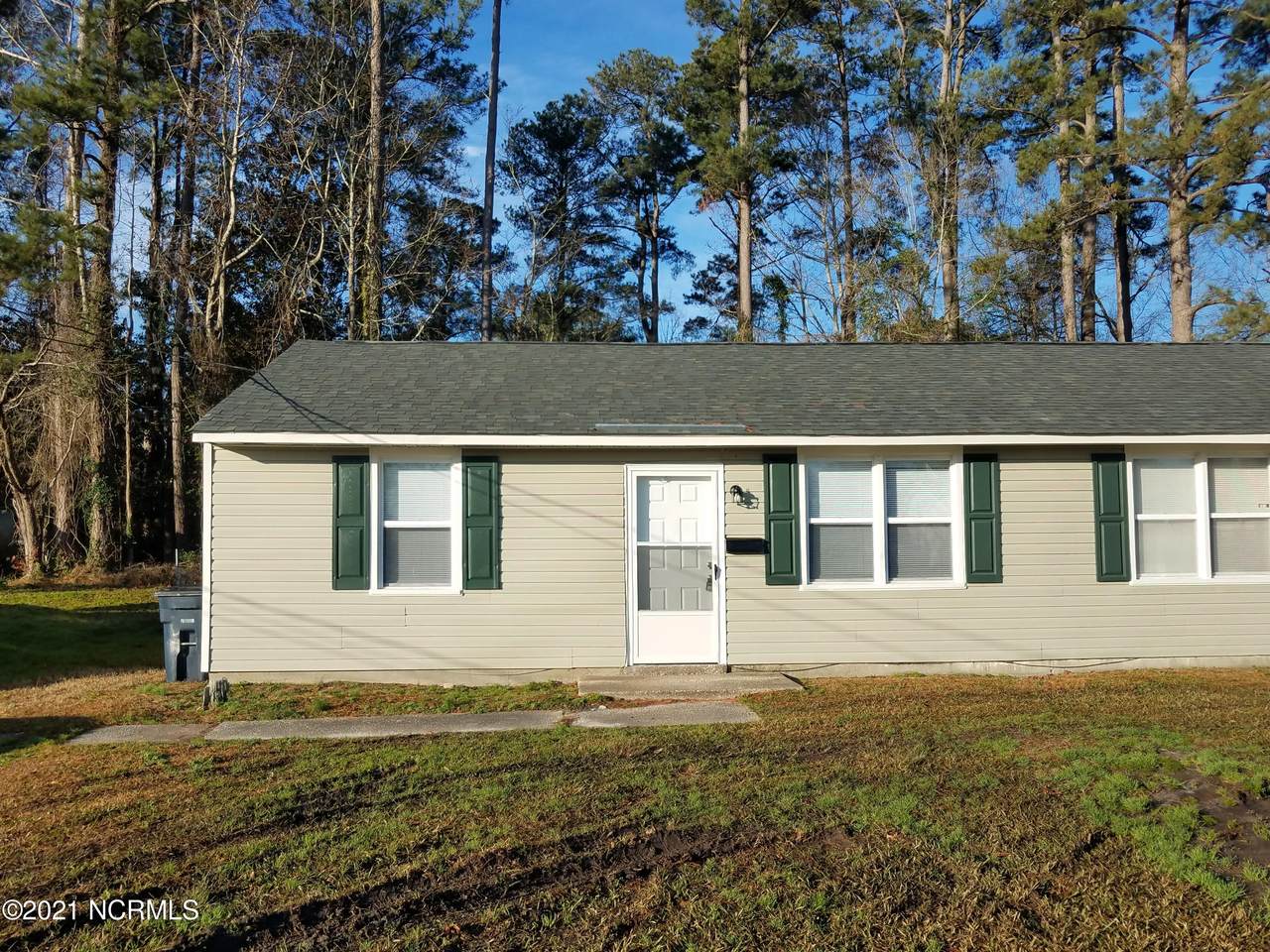 1217 Davis Street - Photo 1