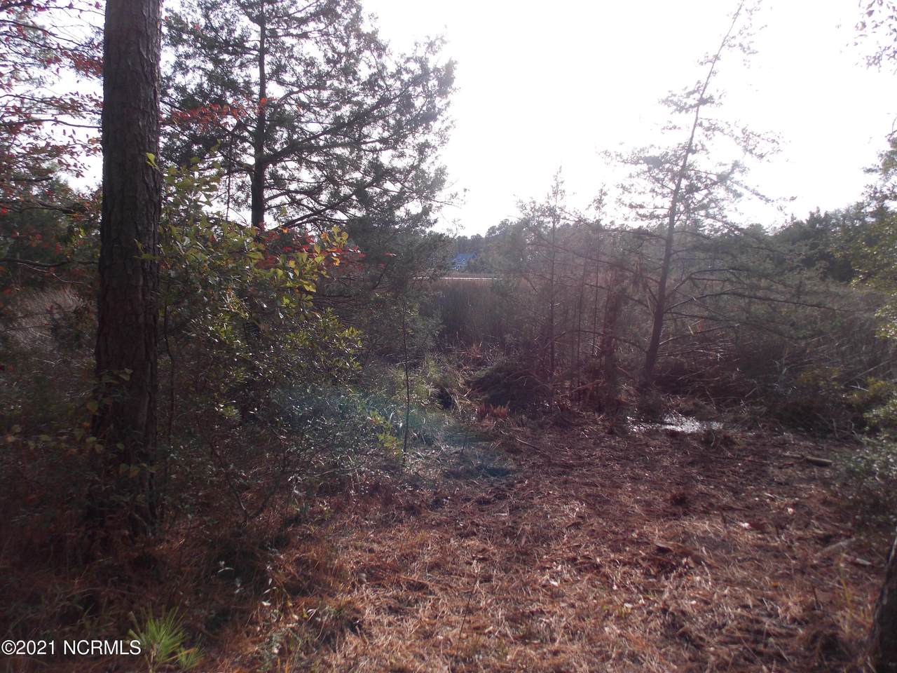 861 Old Mill Road - Photo 1