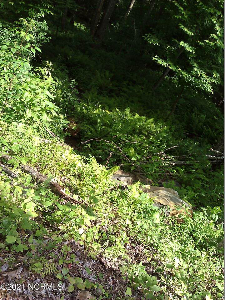Lot 79 Cedar Court - Photo 1
