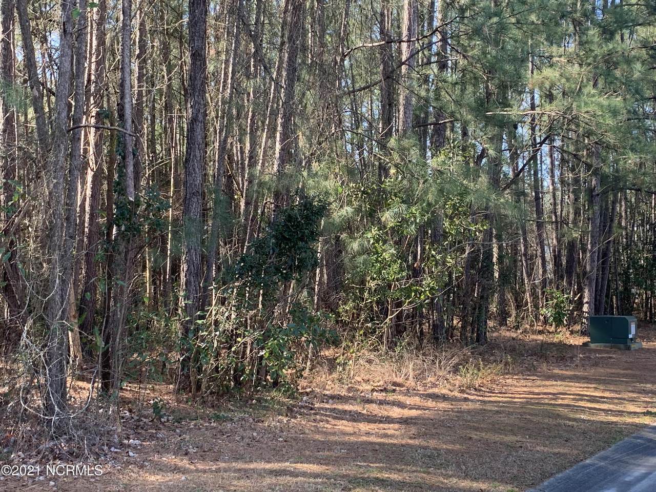 311 River Ridge Drive - Photo 1