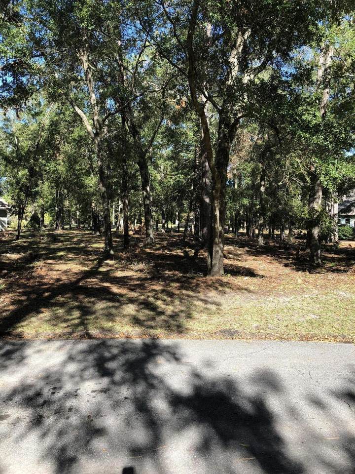 3163 Windward Village Lane - Photo 1