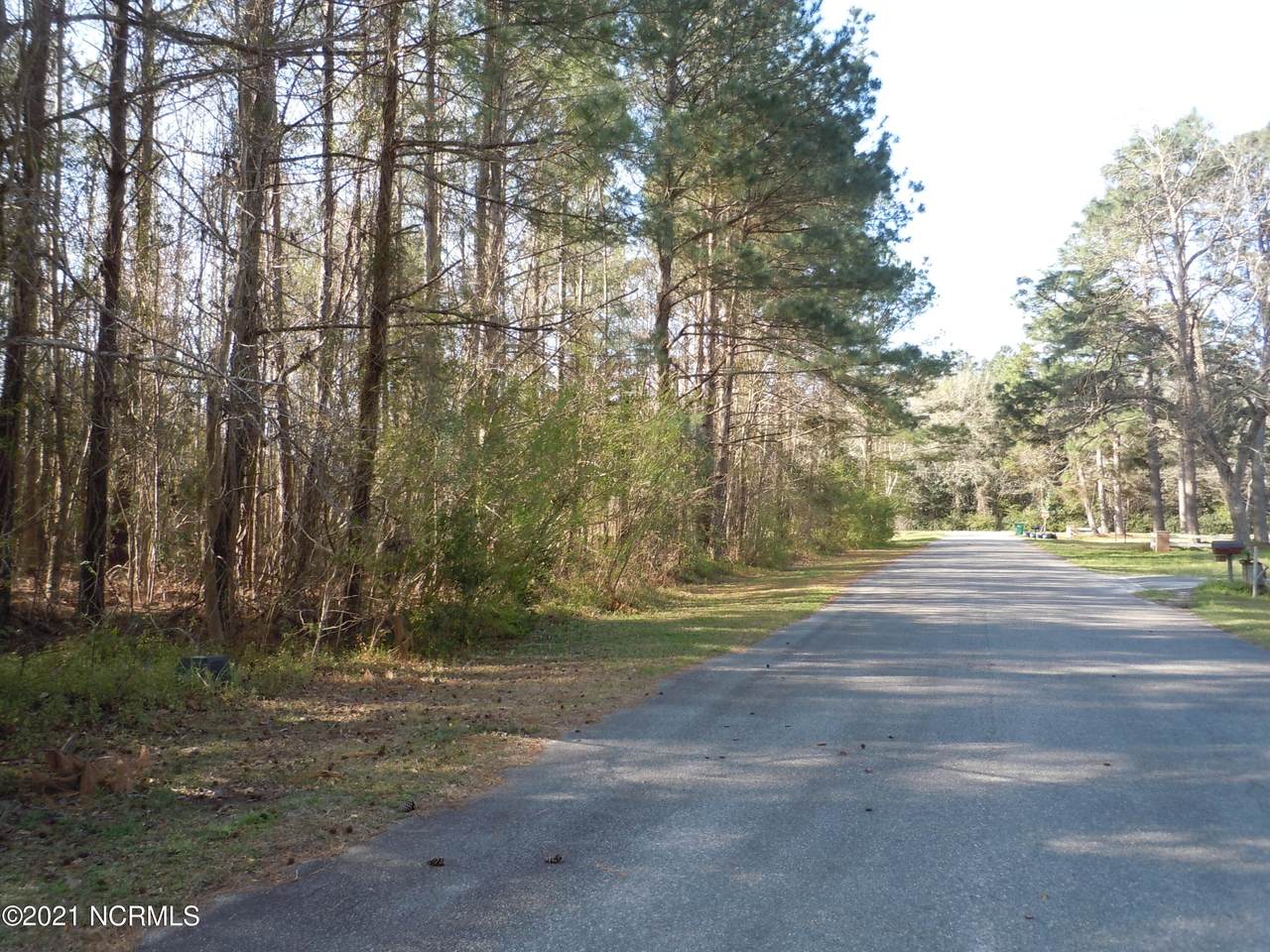 104 Pine Street - Photo 1