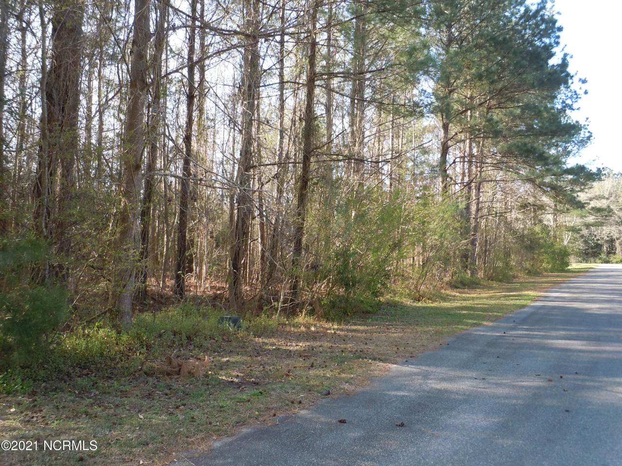 106 Pine Street - Photo 1