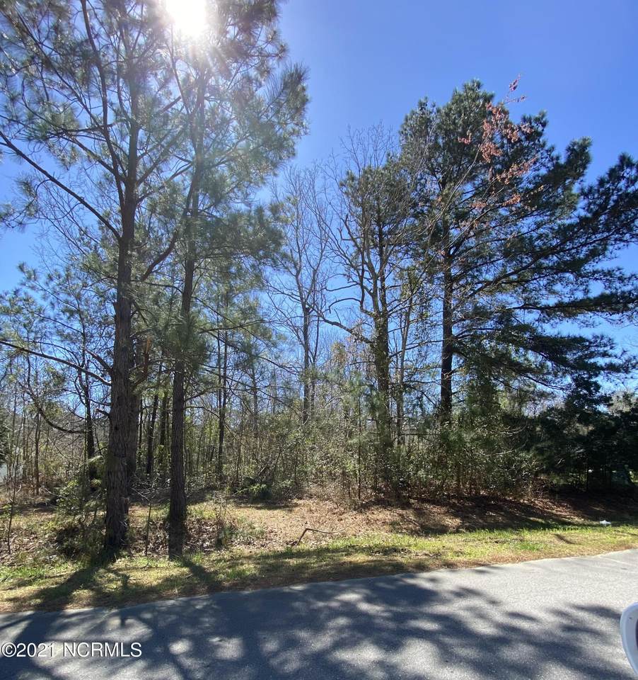 106 Rolling Hill Drive - Photo 1