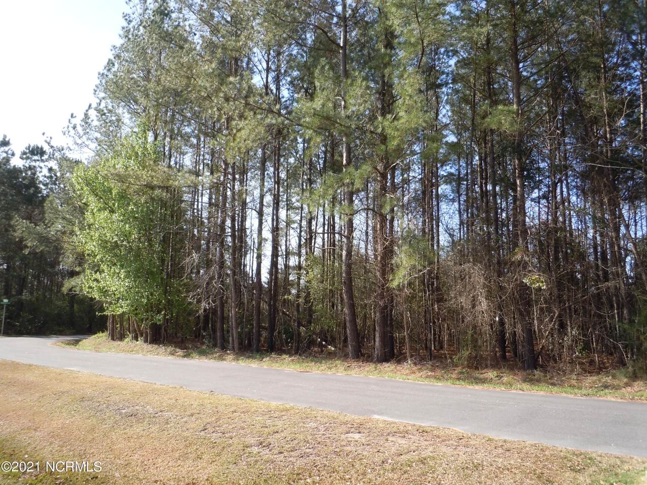 107 Roosevelt Street - Photo 1