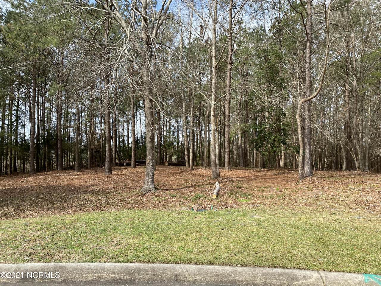 718 Cedarhurst Drive - Photo 1