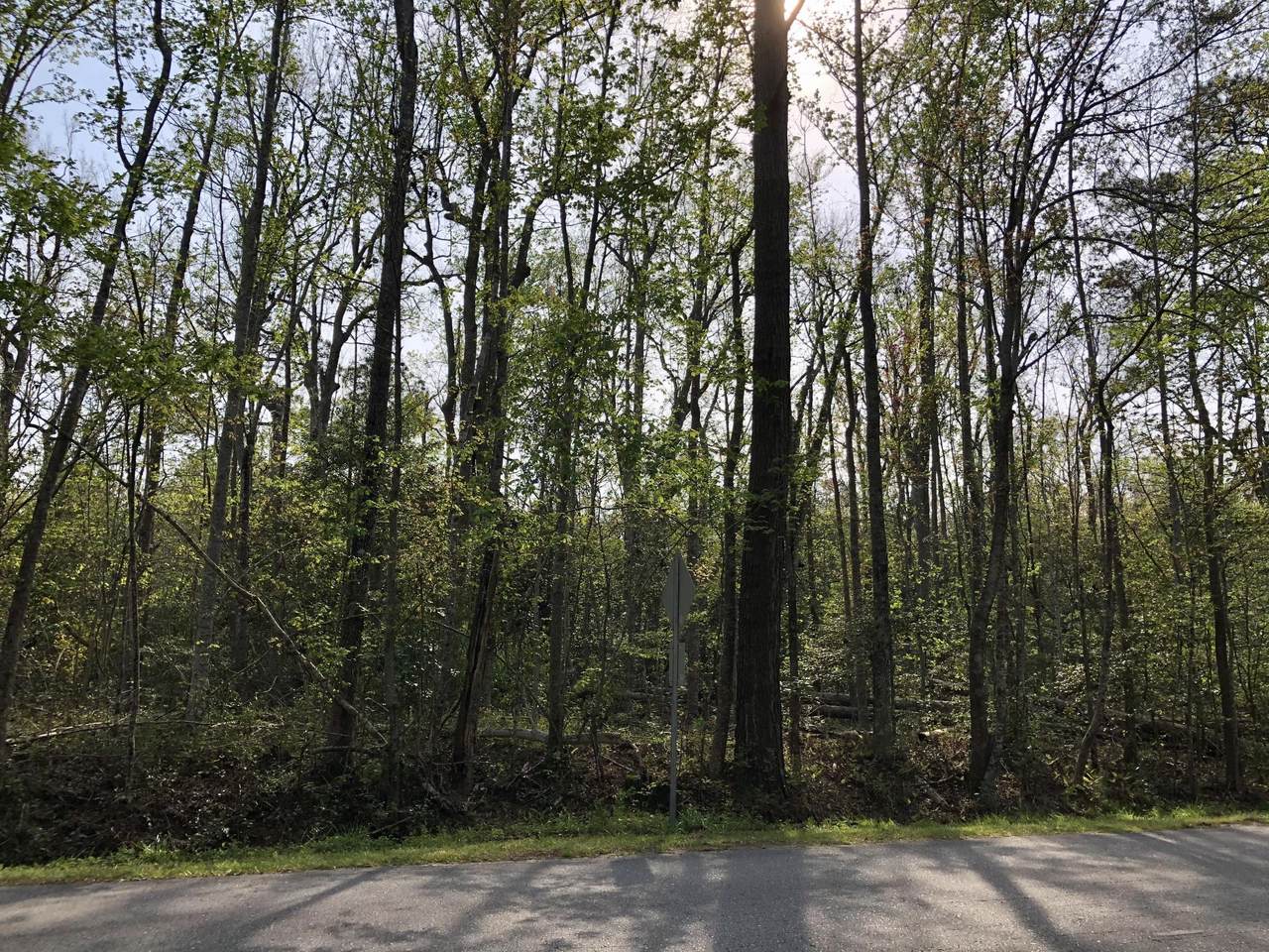 Lot 17 Belvedere South Drive - Photo 1