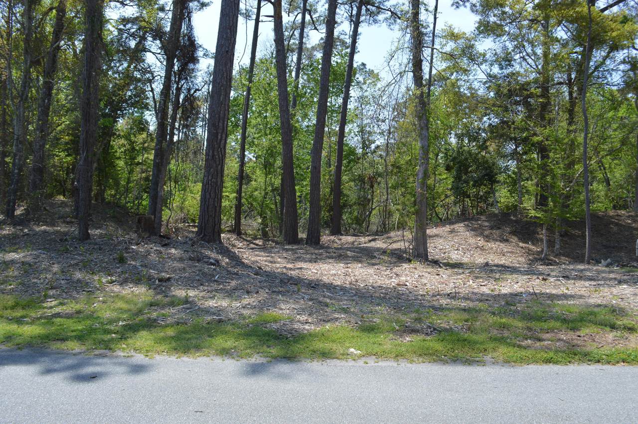 307 Cape Fear Loop - Photo 1