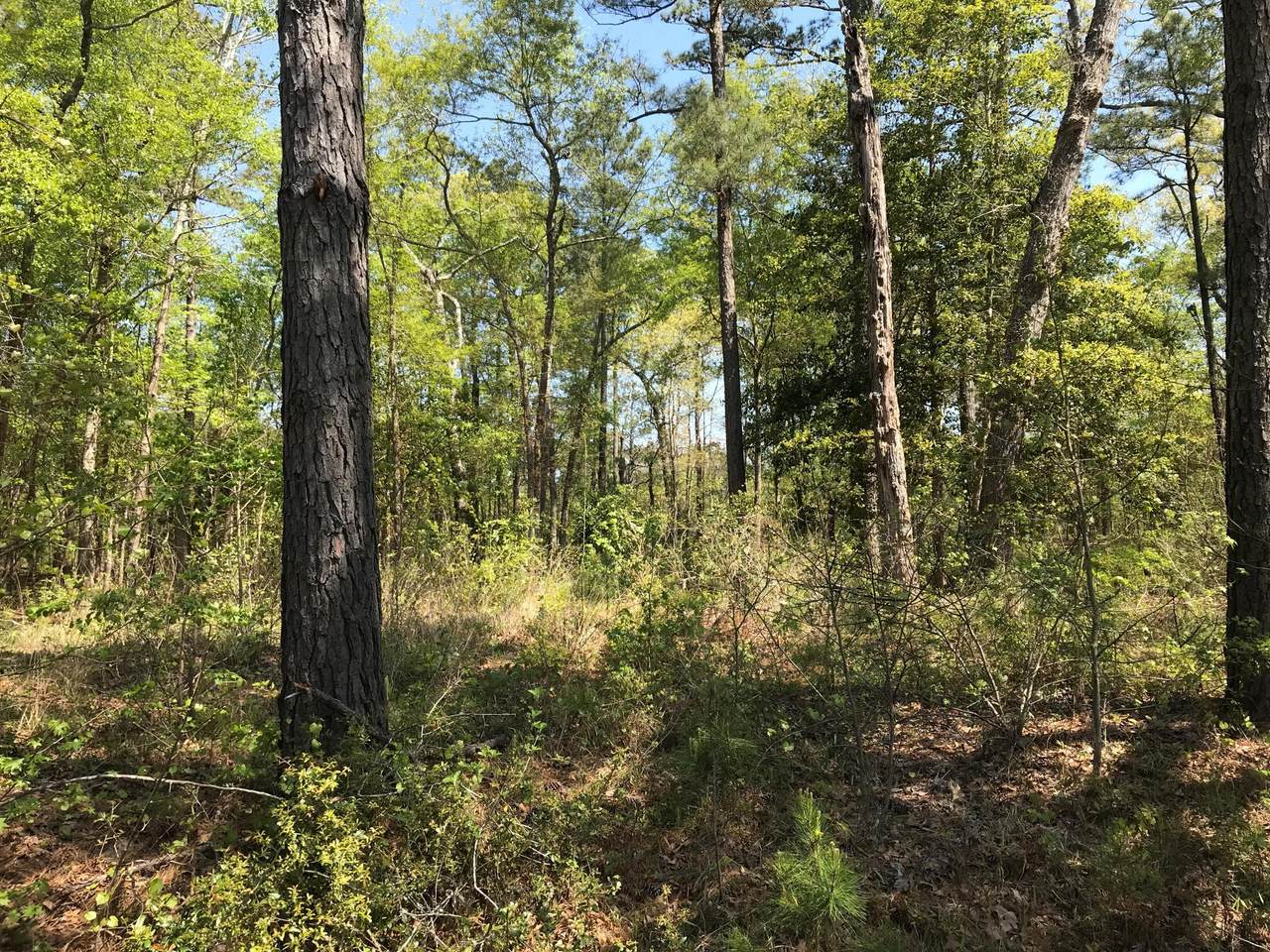 436 Indian Bluff Drive - Photo 1