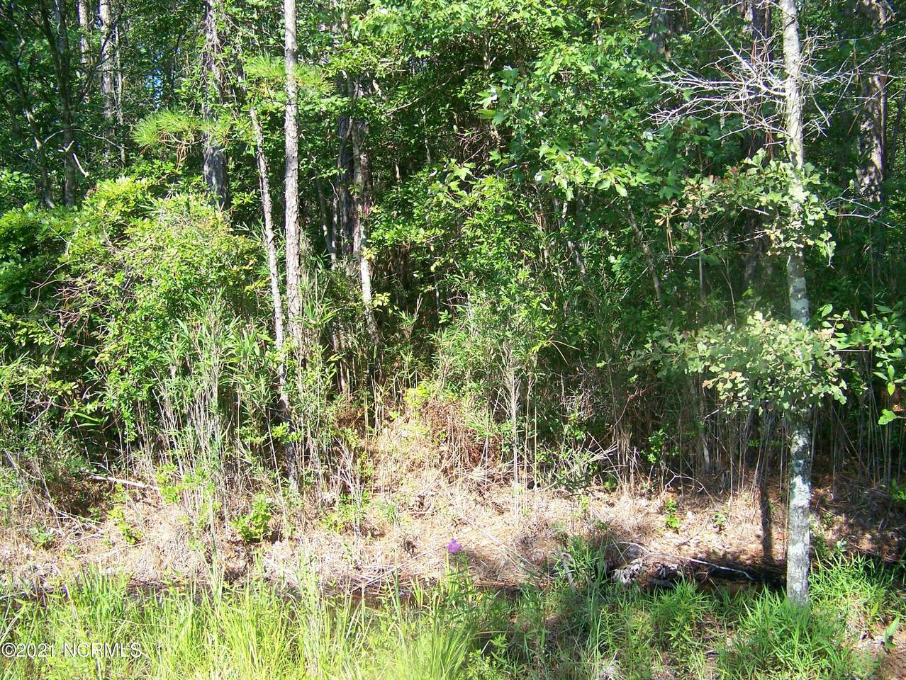 880 W Boiling Spring Road - Photo 1