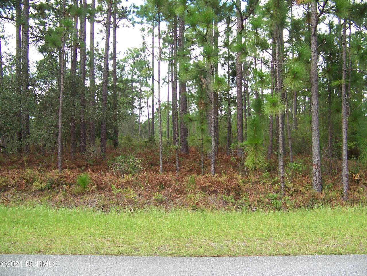 840 Jasmine Road - Photo 1
