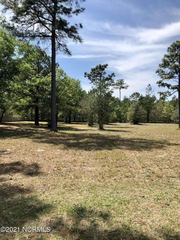 9522 Fallen Pear Lane - Photo 1