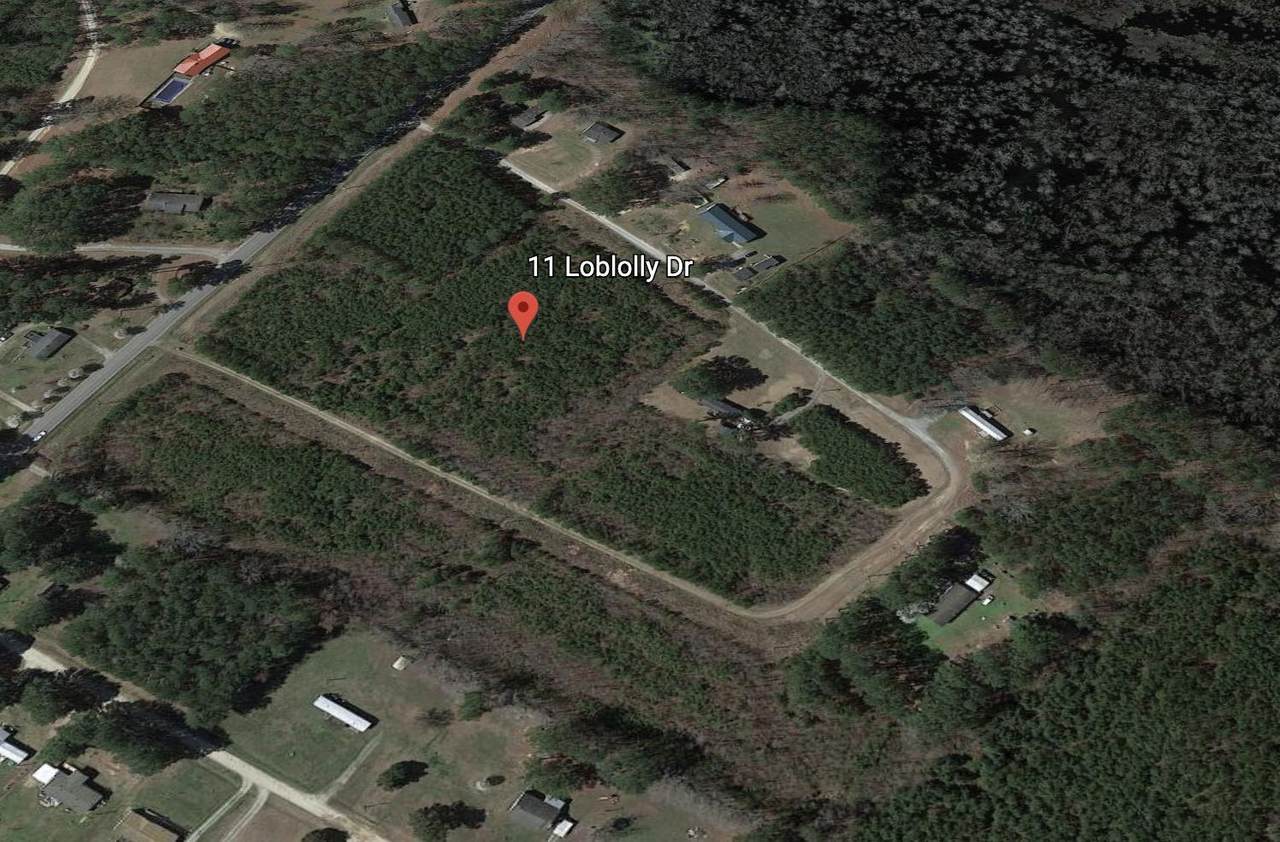 11 Loblolly Drive - Photo 1